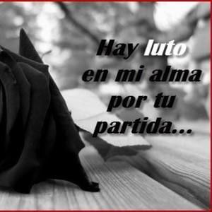 Meet your Posher, Carrillo